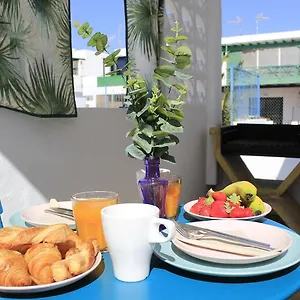 https://apt-casa-petula.puertodelcarmen-hotels.org